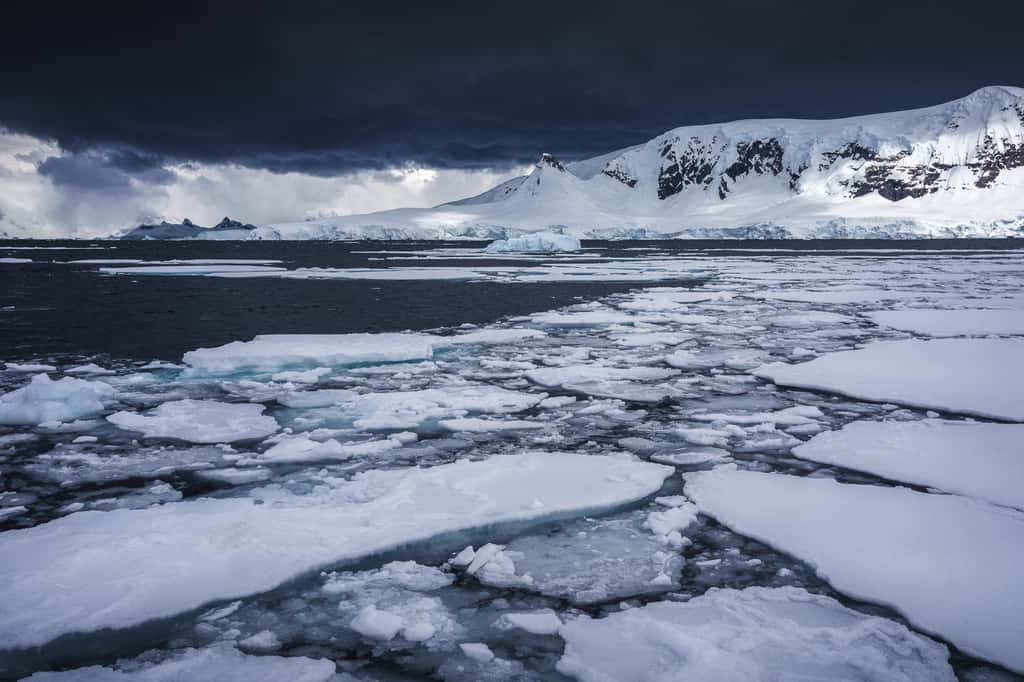 Glace de mer, Antarctique Photos Futura — free download